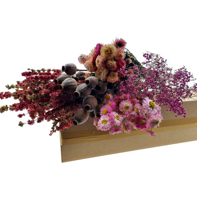 Droogbloemen DIY set "La Palma" | Vijf soorten droogbloemen in een box