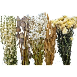 Dried Flowers DIY Set "El Hierro"