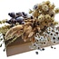 Dried Flowers DIY Set "El Hierro" | Five types of dried flowers in a box