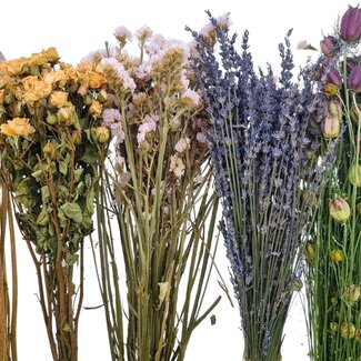 Set Dutch Dried Flowers | Purple | 5 Bunch | 45-65 cm