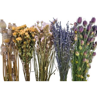 Set de bricolage de fleurs séchées "La Gomera"
