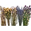 Droogbloemen DIY set "La Gomera" | Vijf soorten droogbloemen in een box