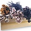 Set Dutch Dried Flowers | Purple | 5 Bunch | 45-65 cm