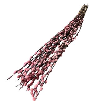 Dutch Dried Rosa Salix Weidenkätzchen Trockenblumen | Länge ± 70 Zentimeter | Pro 20 Zweige