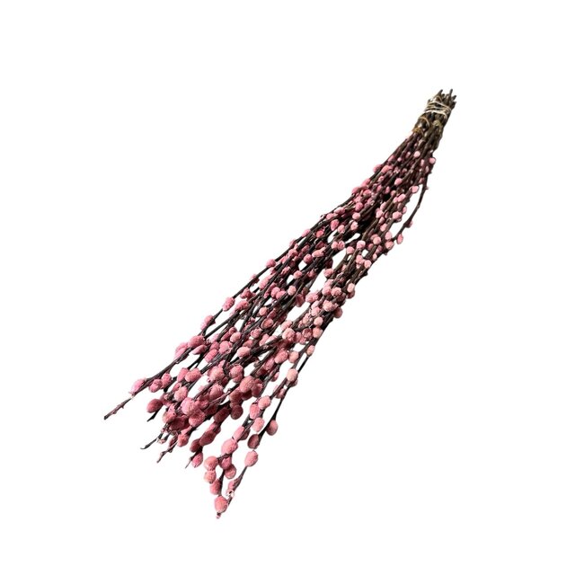 Pink Salix Willow Catkins Dried Flowers | Length ± 70 centimetres | Per 20 stems