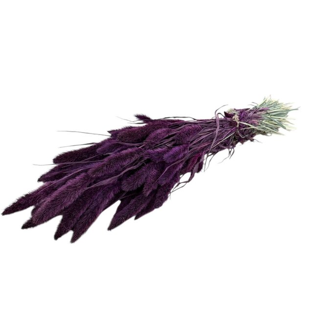 Purple Setaria dried flowers | Length ± 70 centimetres | Weight ± 150 grams