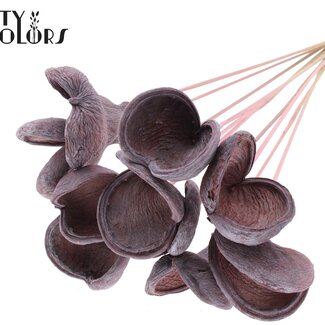 QC Badam op steel | Kleur: Frosted Lichtroze | Lengte bijsteker ± 50 centimeter | 10 stelen per bos | Per bos