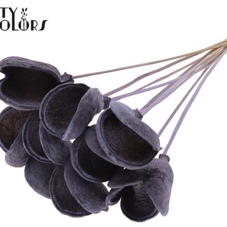 QC Amande sur tige | Couleur : Lait mauve givré | Longueur de la tige ± 50 centimètres | 10 tiges par bouquet | Par bouquet