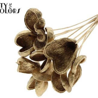 QC Almond on stem | Colour: Antique Gold | Length of stem ± 50 centimetres | 10 stems per bunch | Per bunch
