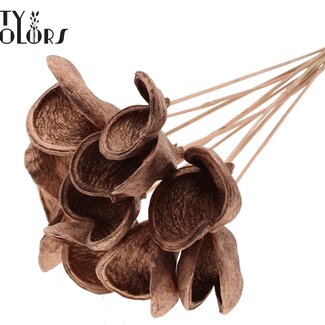 QC Amande sur tige | Couleur : Cuivré | Longueur de la tige ± 50 centimètres | 10 tiges par bouquet | Par bouquet