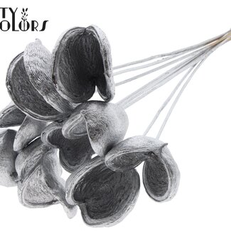 QC Almond on stem | Colour: Silver-coloured | Length of stick ± 50 centimetres | 10 stems per bunch | Per bunch