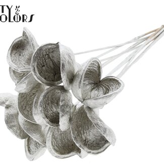 QC Almond on stem | Colour: Platinum-coloured | Length of pick ± 50 centimetres | 10 stems per bunch | Per bunch