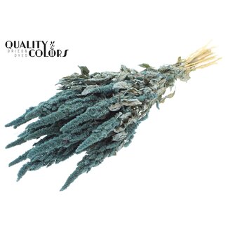 QC Getrockneter Amaranthus | Farbe: Frosted Hellblau | Katzenschwanz Trockenblumen | Länge ± 60 Zentimeter | Pro Bund