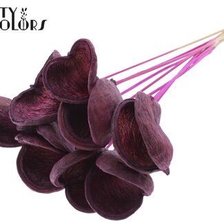 QC Almond on stem | Colour: Lilac | Length of stick approximately 50 centimetres | 10 stems per bunch | Per bunch