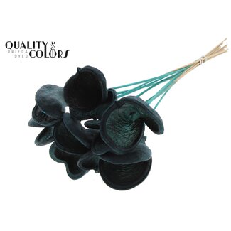 QC Badam op steel | Kleur: Turquoise | Lengte bijsteker ± 50 centimeter | 10 stelen per bos | Per bos
