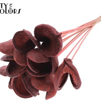 QC Almond on stem | Colour: Coral | Length of stick approx. 50 centimetres | 10 stems per bunch | Per bunch