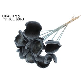 QC Badam op steel | Kleur: Frosted Lichtblauw | Lengte bijsteker ± 50 centimeter | 10 stelen per bos | Per bos