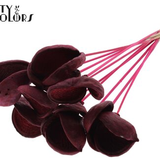 QC Amande sur tige | Couleur : Cerise | Longueur du piquet ± 50 centimètres | 10 tiges par bouquet | Par bouquet