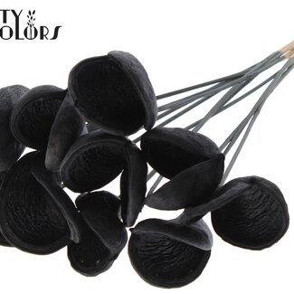 QC Amande sur tige | Couleur : Noir | Longueur de la tige ± 50 centimètres | 10 tiges par bouquet | Par bouquet