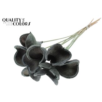 QC Badam op steel | Kleur: Frosted Mintgroen | Lengte bijsteker ± 50 centimeter | 10 stelen per bos | Per bos