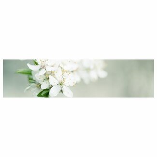 4A Etikett Karte Blanco mit Blume | Farbe: Natürlich Grün Weiß | Breite 20 Zentimeter | Höhe 5 Zentimeter | Pro 20 Etiketten