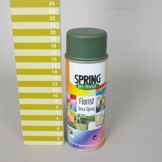 4A Spuitverf Kleurspray "Moss Green" | Kleur: Groen | Inhoud 400 milliliter | Spring Pro Florist Deco Spray | Per spuitbus