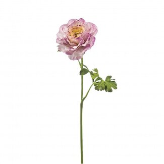 4A Ranunculus Artificial Flower | Colour: Purple | Ranunculus artificial flowers | Length ± 61 centimetres | Per 12 artificial flowers