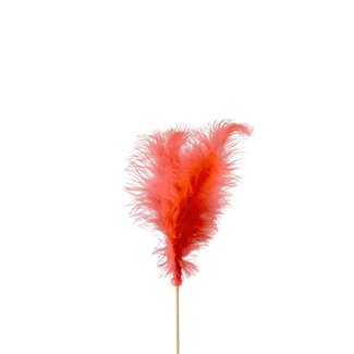 4A Feather Picks | Colour: Red | Feather length 10 centimetres | Pick length ± 50 centimetres | Per 25 picks