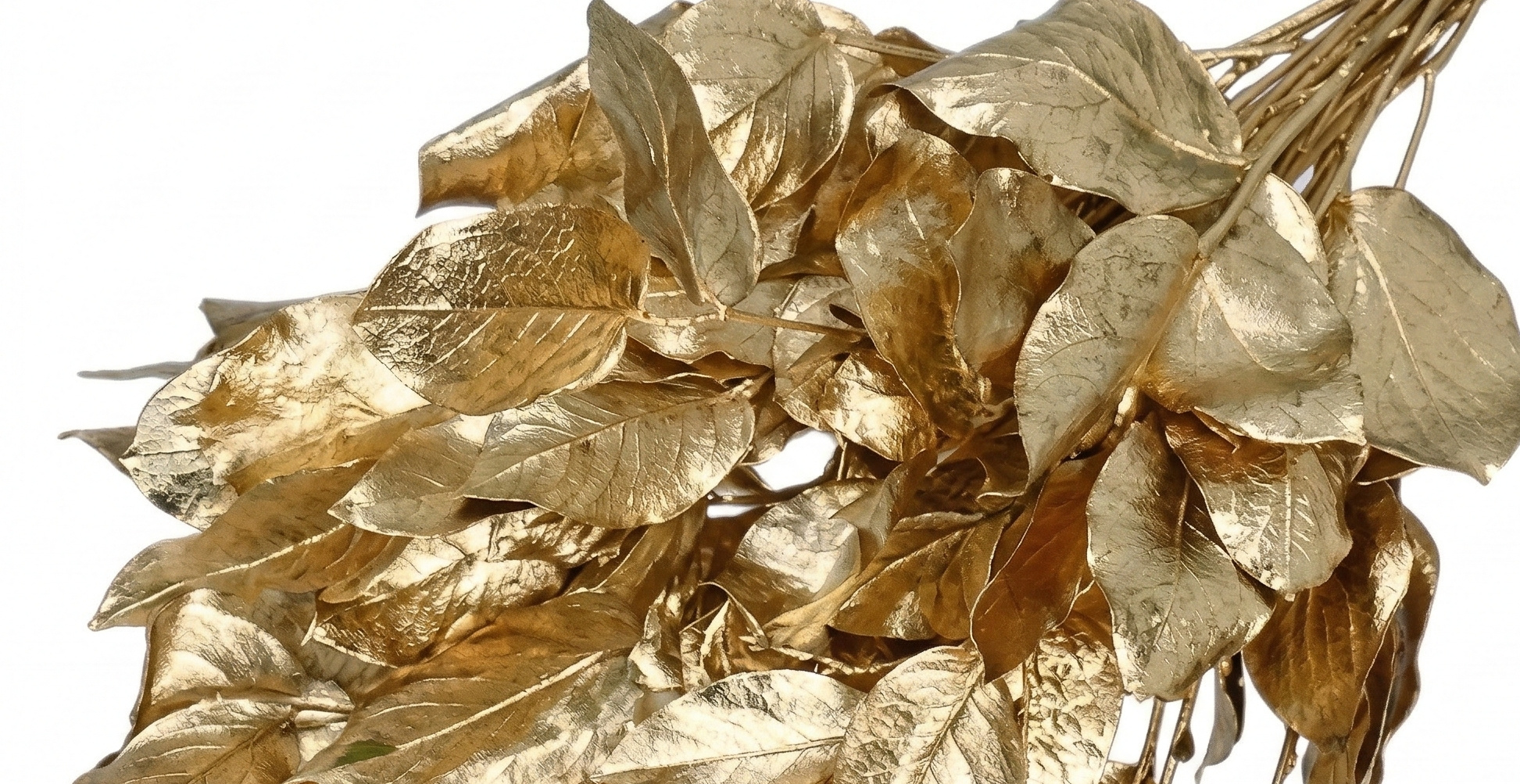 Gaultheria (Salal): Robuust Groen | MyFlowers.shop