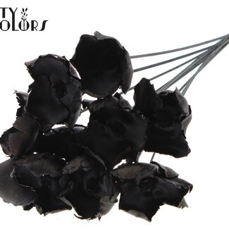 QC Palm Cup séchée sur tige | Couleur : Noir | Longueur ± 50 centimètres | 10 tiges par bouquet