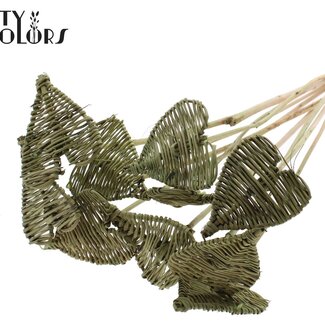 QC Cœur en rotin Lata sur bâton | Couleur : Vert olive | Pique-plat Lata Heart | Diamètre 8 centimètres | Longueur ± 50 centimètres | 10 piques par bouquet