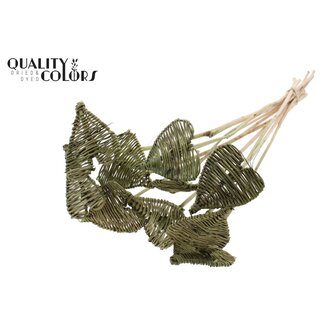 QC Rattan Lata Heart on stick | Colour: Olive Green | Lata Heart flat Plant Stake | Diameter 8 centimetres | Length ± 50 centimetres | 10 stakes per bunch