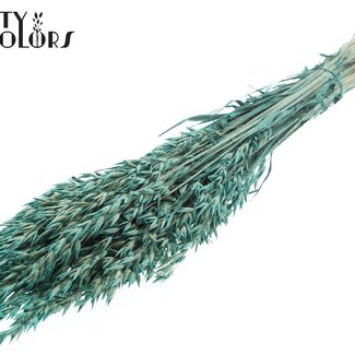 QC Getrockneter Hafer | Farbe: Pearl Türkis | Avena Trockenblumen | Länge ± 60 Zentimeter | Gewicht 250 Gramm | Pro Bund