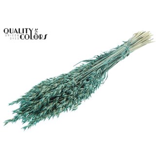 QC Dried Oats | Colour: Pearl Turquoise | Avena Dried Flowers | Length ± 60 centimetres | Weight 250 grams | Per bunch