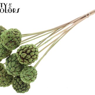 QC Bleached Atta Fruit on stick | Colour: Mint Green | Custard Apple Pick | Length ± 50 centimetres | 10 picks per bunch