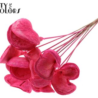 QC Badam blanchi sur tige | Couleur : Cerise | Longueur du pique ± 50 centimètres | 10 piques par bouquet