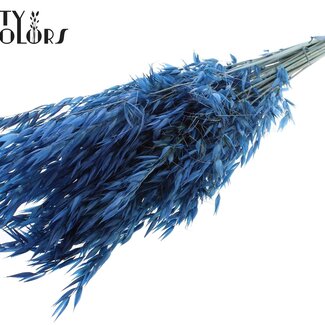 QC Gedroogde Wilde Haver | Kleur: Blauw | Wilde Avena Droogbloemen | Lengte ± 70 centimeter | Gewicht 100 gram | Per bos