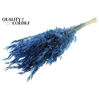 QC Gedroogde Wilde Haver | Kleur: Blauw | Wilde Avena Droogbloemen | Lengte ± 70 centimeter | Gewicht 100 gram | Per bos