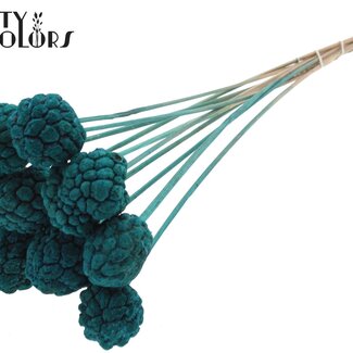 QC Bleached Atta Fruit on stick | Colour: Turquoise | Custard Apple Pick | Length ± 50 centimetres | 10 picks per bunch