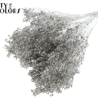 QC Gedroogde Broom Bloom | Kleur: Platinakleurig | Brem Droogbloemen | Lengte ± 50 centimeter | Gewicht 100 gram | Per bos