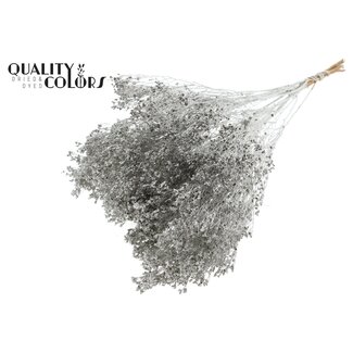 QC Getrocknete Broom Bloom | Farbe: Platinfarben | Ginster Trockenblumen | Länge ± 50 Zentimeter | Gewicht 100 Gramm | Pro Bund