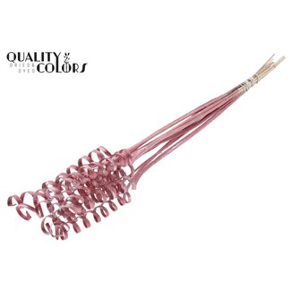 QC Palm Spiraal op steel | Kleur: Metallic Rood | Cane Cone Bijsteker | Lengte bijsteker ± 50 centimeter | Per 10 bijstekers