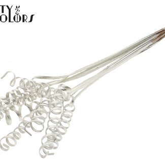 QC Palm Spiraal op steel | Kleur: Platinakleurig | Cane Cone Bijsteker | Lengte bijsteker ± 50 centimeter | Per 10 bijstekers