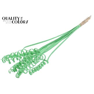 QC Palm Spiral on Stem | Colour: Mint Green | Cane Cone Plant Stake | Stake Length ± 50 centimetres | Per 10 stakes
