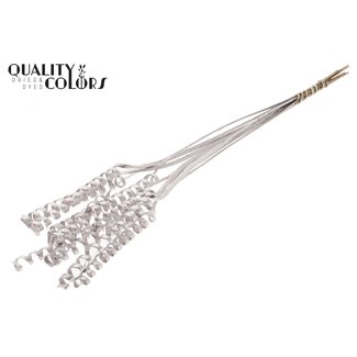QC Palm Spiraal op steel | Kleur: Champagnekleurig | Cane Cone Bijsteker | Lengte bijsteker ± 50 centimeter | Per 10 bijstekers