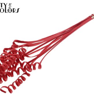 QC Palm Spirale sur tige | Couleur : Rouge | Pique de canne en cône | Longueur du pique ± 50 centimètres | Par 10 piques