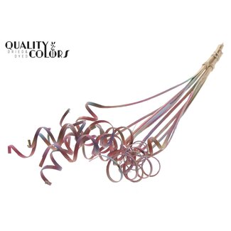 QC Palm Spiral on Stem | Colour: Gradient Pink | Cane Cone Plant Stake | Stake Length ± 50 centimetres | Per 10 stakes