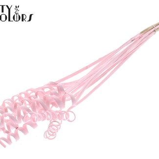 QC Palm Spiraal op steel | Kleur: Lichtroze | Cane Cone Bijsteker | Lengte bijsteker ± 50 centimeter | Per 10 bijstekers