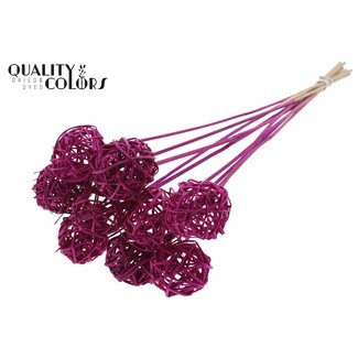 QC Rattan Ball on Stick | Colour: Lilac | Bruce Ball Plant Stake | Diameter 5 centimetres | Length ± 50 centimetres | 10 stakes per bunch