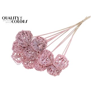 QC Rattan Ball on Stick | Colour: Frosted Light Pink | Bruce Ball Stake | Diameter 5 centimetres | Length ± 50 centimetres | 10 stakes per bunch